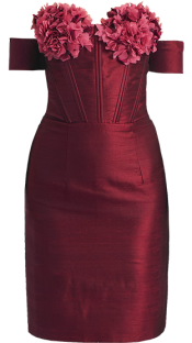Crimselle Mini Dress