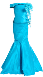 Bluvia Evening Gown